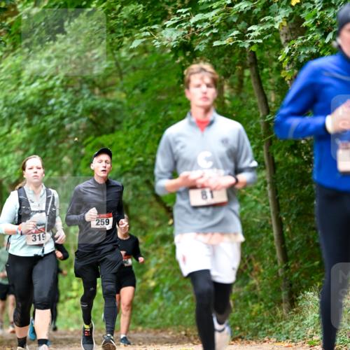 11.10.2026 - Bramfelder Halbmarathon 2026 Dr. Thomas Lammeyer http://msf.ph/oto/10831340 11.10.2026 11:16:03 Laufen 259, 319 meine-sportfotos.de