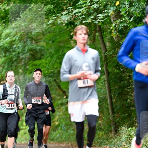 11.10.2026 - Bramfelder Halbmarathon 2026 Dr. Thomas Lammeyer http://msf.ph/oto/10831342 11.10.2026 11:16:03 Laufen 319, 259, 81 meine-sportfotos.de