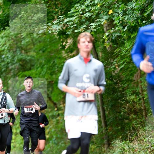11.10.2026 - Bramfelder Halbmarathon 2026 Dr. Thomas Lammeyer http://msf.ph/oto/10831344 11.10.2026 11:16:03 Laufen 19, 259, 81 meine-sportfotos.de