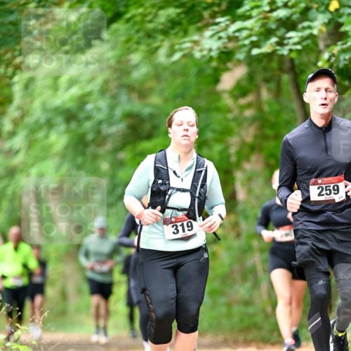 11.10.2026 - Bramfelder Halbmarathon 2026 Dr. Thomas Lammeyer http://msf.ph/oto/10831369 11.10.2026 11:16:06 Laufen 319, 259, 274 meine-sportfotos.de
