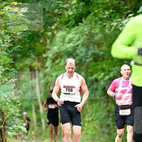 11.10.2026 - Bramfelder Halbmarathon 2026 Dr. Thomas Lammeyer http://msf.ph/oto/10831449 11.10.2026 11:16:17 Laufen 788, 245, 482 meine-sportfotos.de
