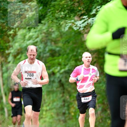 11.10.2026 - Bramfelder Halbmarathon 2026 Dr. Thomas Lammeyer http://msf.ph/oto/10831456 11.10.2026 11:16:18 Laufen 788, 245, 482 meine-sportfotos.de
