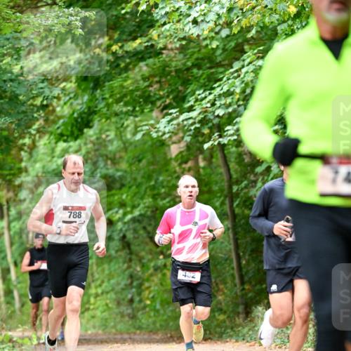 11.10.2026 - Bramfelder Halbmarathon 2026 Dr. Thomas Lammeyer http://msf.ph/oto/10831460 11.10.2026 11:16:18 Laufen 788, 482 meine-sportfotos.de