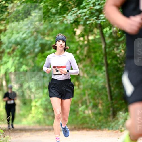 11.10.2026 - Bramfelder Halbmarathon 2026 Dr. Thomas Lammeyer http://msf.ph/oto/10831546 11.10.2026 11:16:27 Laufen 53 meine-sportfotos.de