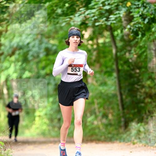 11.10.2026 - Bramfelder Halbmarathon 2026 Dr. Thomas Lammeyer http://msf.ph/oto/10831549 11.10.2026 11:16:27 Laufen 553 meine-sportfotos.de