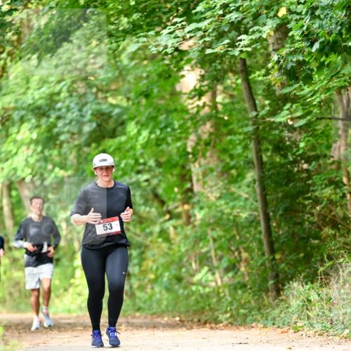 11.10.2026 - Bramfelder Halbmarathon 2026 Dr. Thomas Lammeyer http://msf.ph/oto/10831551 11.10.2026 11:16:34 Laufen 53 meine-sportfotos.de