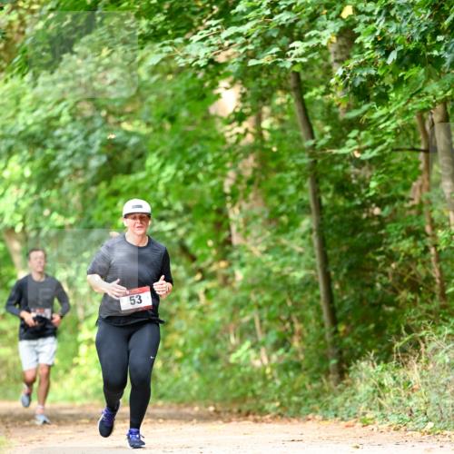 11.10.2026 - Bramfelder Halbmarathon 2026 Dr. Thomas Lammeyer http://msf.ph/oto/10831555 11.10.2026 11:16:34 Laufen 53 meine-sportfotos.de