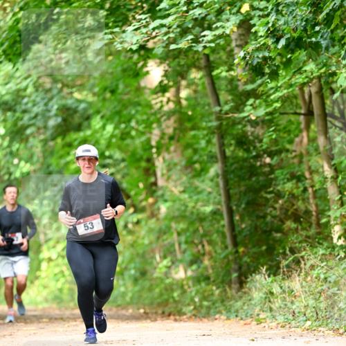 11.10.2026 - Bramfelder Halbmarathon 2026 Dr. Thomas Lammeyer http://msf.ph/oto/10831561 11.10.2026 11:16:34 Laufen 53 meine-sportfotos.de