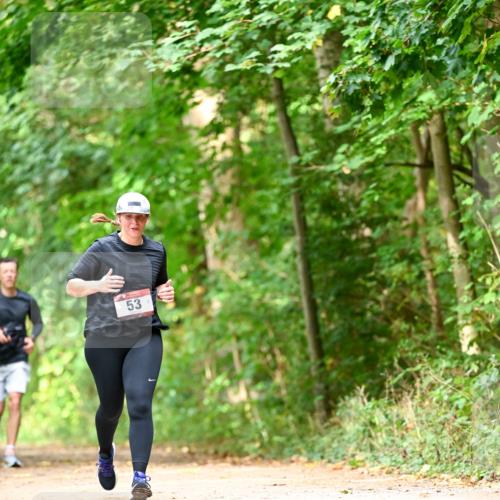 11.10.2026 - Bramfelder Halbmarathon 2026 Dr. Thomas Lammeyer http://msf.ph/oto/10831564 11.10.2026 11:16:34 Laufen 53 meine-sportfotos.de