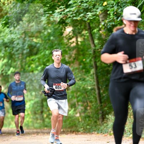 11.10.2026 - Bramfelder Halbmarathon 2026 Dr. Thomas Lammeyer http://msf.ph/oto/10831569 11.10.2026 11:16:38 Laufen 652, 53 meine-sportfotos.de