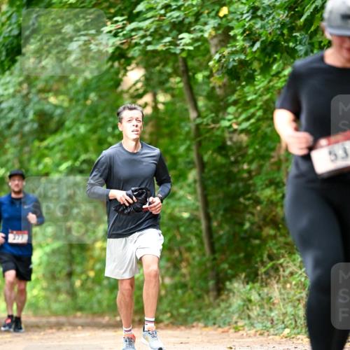 11.10.2026 - Bramfelder Halbmarathon 2026 Dr. Thomas Lammeyer http://msf.ph/oto/10831575 11.10.2026 11:16:39 Laufen 53 meine-sportfotos.de