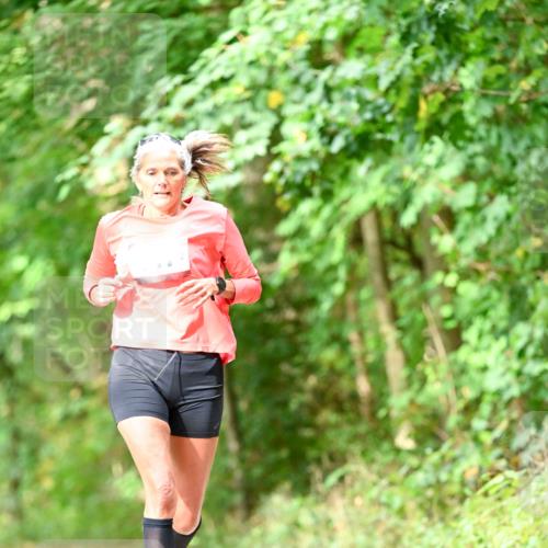 11.10.2026 - Bramfelder Halbmarathon 2026 Dr. Thomas Lammeyer http://msf.ph/oto/10831673 11.10.2026 11:16:51 Laufen  meine-sportfotos.de
