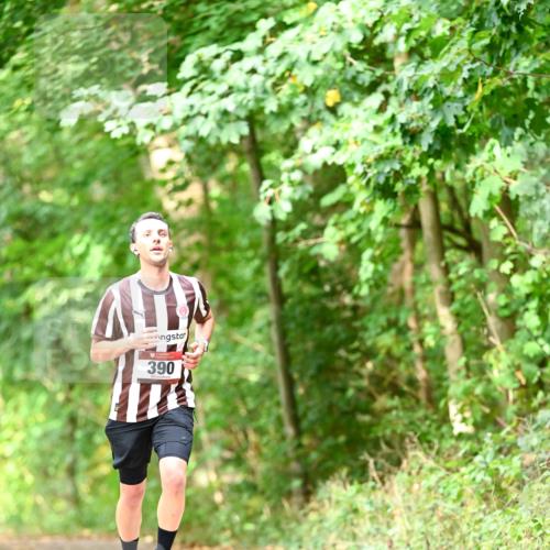 11.10.2026 - Bramfelder Halbmarathon 2026 Dr. Thomas Lammeyer http://msf.ph/oto/10831678 11.10.2026 11:16:55 Laufen 390 meine-sportfotos.de