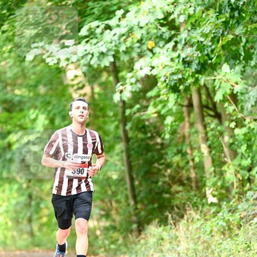 11.10.2026 - Bramfelder Halbmarathon 2026 Dr. Thomas Lammeyer http://msf.ph/oto/10831680 11.10.2026 11:16:56 Laufen 390 meine-sportfotos.de