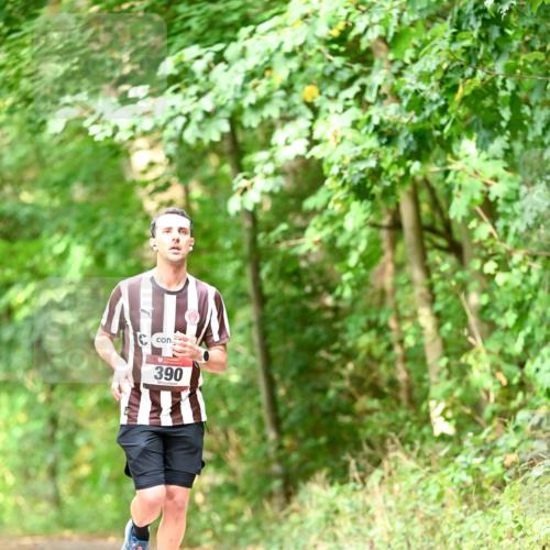 11.10.2026 - Bramfelder Halbmarathon 2026 Dr. Thomas Lammeyer http://msf.ph/oto/10831682 11.10.2026 11:16:56 Laufen 390 meine-sportfotos.de