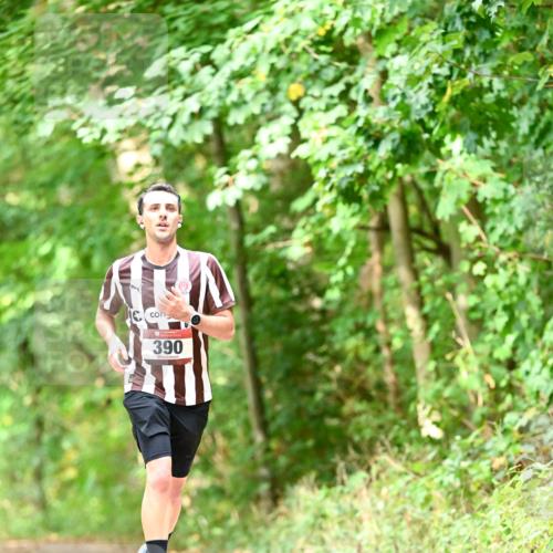 11.10.2026 - Bramfelder Halbmarathon 2026 Dr. Thomas Lammeyer http://msf.ph/oto/10831684 11.10.2026 11:16:56 Laufen 390 meine-sportfotos.de
