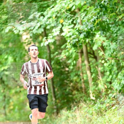11.10.2026 - Bramfelder Halbmarathon 2026 Dr. Thomas Lammeyer http://msf.ph/oto/10831685 11.10.2026 11:16:56 Laufen 355 meine-sportfotos.de