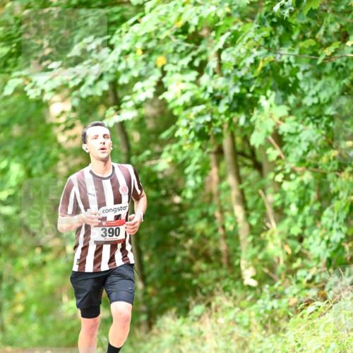 11.10.2026 - Bramfelder Halbmarathon 2026 Dr. Thomas Lammeyer http://msf.ph/oto/10831687 11.10.2026 11:16:56 Laufen 390 meine-sportfotos.de