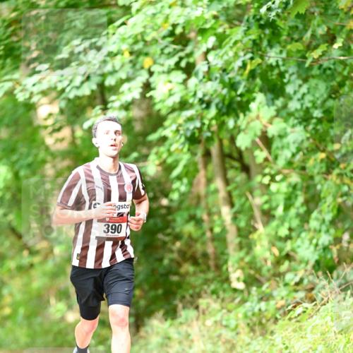 11.10.2026 - Bramfelder Halbmarathon 2026 Dr. Thomas Lammeyer http://msf.ph/oto/10831689 11.10.2026 11:16:56 Laufen 390 meine-sportfotos.de