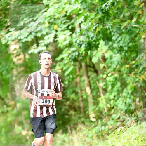 11.10.2026 - Bramfelder Halbmarathon 2026 Dr. Thomas Lammeyer http://msf.ph/oto/10831691 11.10.2026 11:16:56 Laufen 390 meine-sportfotos.de
