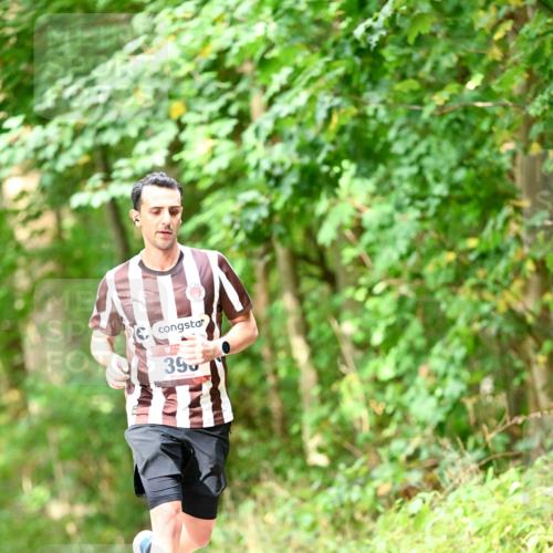 11.10.2026 - Bramfelder Halbmarathon 2026 Dr. Thomas Lammeyer http://msf.ph/oto/10831695 11.10.2026 11:16:57 Laufen 395 meine-sportfotos.de