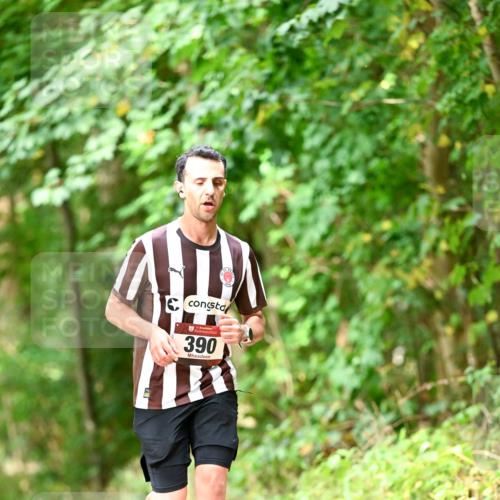 11.10.2026 - Bramfelder Halbmarathon 2026 Dr. Thomas Lammeyer http://msf.ph/oto/10831701 11.10.2026 11:16:57 Laufen 390 meine-sportfotos.de