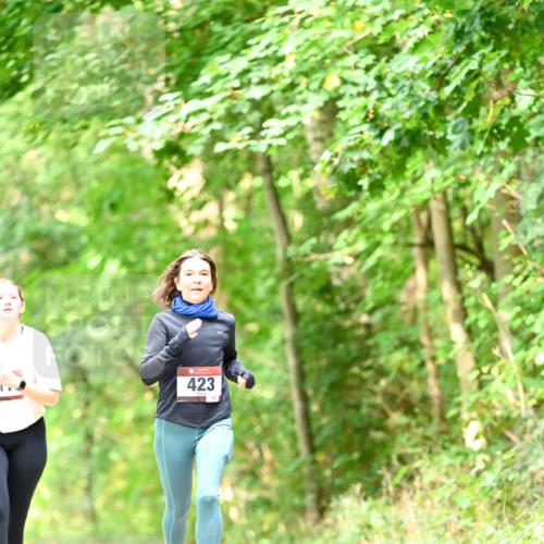 11.10.2026 - Bramfelder Halbmarathon 2026 Dr. Thomas Lammeyer http://msf.ph/oto/10831737 11.10.2026 11:17:09 Laufen 423 meine-sportfotos.de