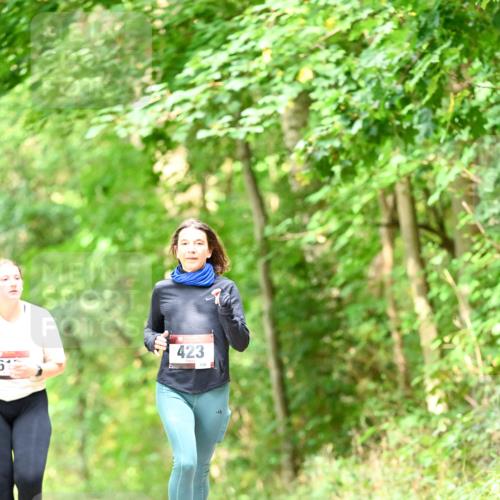 11.10.2026 - Bramfelder Halbmarathon 2026 Dr. Thomas Lammeyer http://msf.ph/oto/10831741 11.10.2026 11:17:09 Laufen 61, 423, 139 meine-sportfotos.de