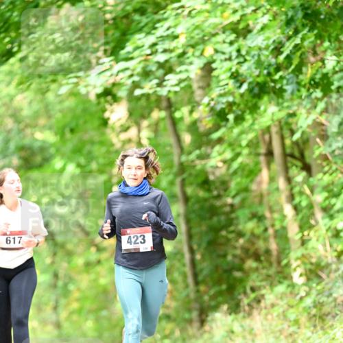 11.10.2026 - Bramfelder Halbmarathon 2026 Dr. Thomas Lammeyer http://msf.ph/oto/10831743 11.10.2026 11:17:09 Laufen 617, 423, 139 meine-sportfotos.de