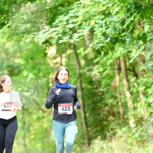 11.10.2026 - Bramfelder Halbmarathon 2026 Dr. Thomas Lammeyer http://msf.ph/oto/10831744 11.10.2026 11:17:09 Laufen 617, 423, 139 meine-sportfotos.de