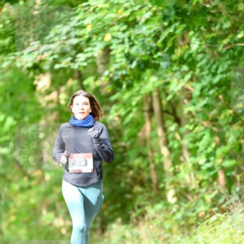 11.10.2026 - Bramfelder Halbmarathon 2026 Dr. Thomas Lammeyer http://msf.ph/oto/10831749 11.10.2026 11:17:09 Laufen 423 meine-sportfotos.de