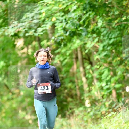 11.10.2026 - Bramfelder Halbmarathon 2026 Dr. Thomas Lammeyer http://msf.ph/oto/10831751 11.10.2026 11:17:10 Laufen 423, 139 meine-sportfotos.de