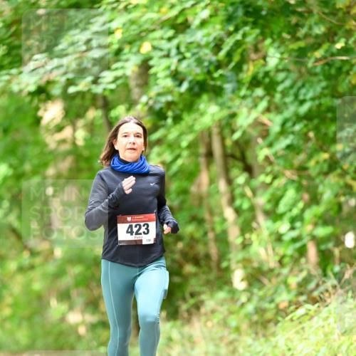 11.10.2026 - Bramfelder Halbmarathon 2026 Dr. Thomas Lammeyer http://msf.ph/oto/10831753 11.10.2026 11:17:10 Laufen 423, 139 meine-sportfotos.de