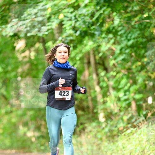 11.10.2026 - Bramfelder Halbmarathon 2026 Dr. Thomas Lammeyer http://msf.ph/oto/10831755 11.10.2026 11:17:10 Laufen 35, 423, 139 meine-sportfotos.de