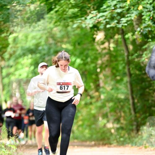 11.10.2026 - Bramfelder Halbmarathon 2026 Dr. Thomas Lammeyer http://msf.ph/oto/10831757 11.10.2026 11:17:11 Laufen 617 meine-sportfotos.de