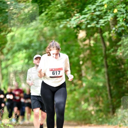 11.10.2026 - Bramfelder Halbmarathon 2026 Dr. Thomas Lammeyer http://msf.ph/oto/10831763 11.10.2026 11:17:11 Laufen 617 meine-sportfotos.de