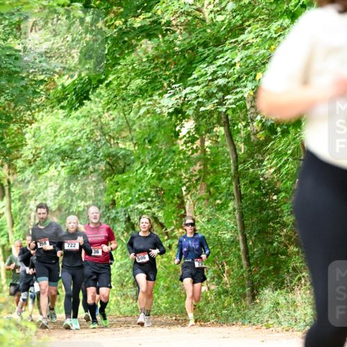 11.10.2026 - Bramfelder Halbmarathon 2026 Dr. Thomas Lammeyer http://msf.ph/oto/10831769 11.10.2026 11:17:15 Laufen 258, 722, 136, 596 meine-sportfotos.de