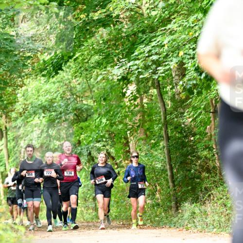 11.10.2026 - Bramfelder Halbmarathon 2026 Dr. Thomas Lammeyer http://msf.ph/oto/10831770 11.10.2026 11:17:15 Laufen 258, 722, 136, 596, 75 meine-sportfotos.de