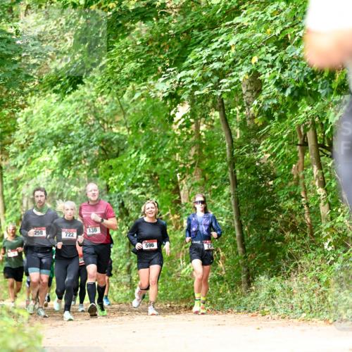 11.10.2026 - Bramfelder Halbmarathon 2026 Dr. Thomas Lammeyer http://msf.ph/oto/10831776 11.10.2026 11:17:16 Laufen 258, 722, 39, 136, 596, 75 meine-sportfotos.de