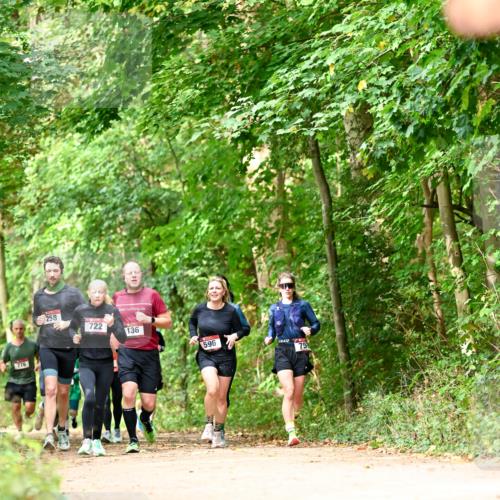 11.10.2026 - Bramfelder Halbmarathon 2026 Dr. Thomas Lammeyer http://msf.ph/oto/10831778 11.10.2026 11:17:16 Laufen 776, 258, 722, 136, 596, 75 meine-sportfotos.de