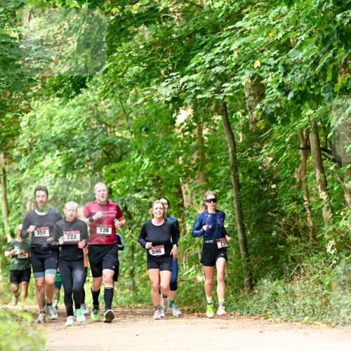 11.10.2026 - Bramfelder Halbmarathon 2026 Dr. Thomas Lammeyer http://msf.ph/oto/10831782 11.10.2026 11:17:16 Laufen 776, 258, 136, 722, 596 meine-sportfotos.de