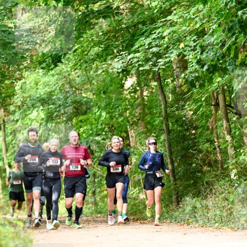 11.10.2026 - Bramfelder Halbmarathon 2026 Dr. Thomas Lammeyer http://msf.ph/oto/10831783 11.10.2026 11:17:16 Laufen 258, 722, 136, 596 meine-sportfotos.de