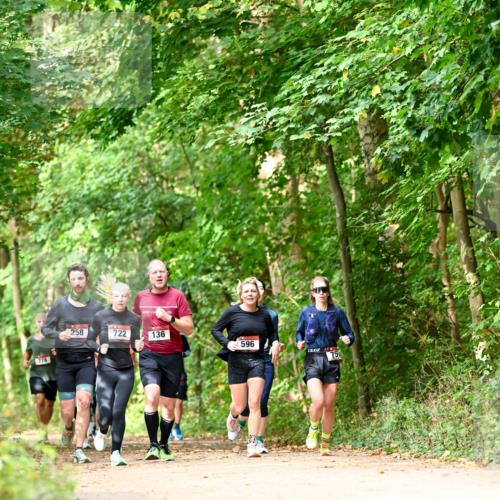 11.10.2026 - Bramfelder Halbmarathon 2026 Dr. Thomas Lammeyer http://msf.ph/oto/10831785 11.10.2026 11:17:16 Laufen 776, 258, 722, 136, 596, 75 meine-sportfotos.de