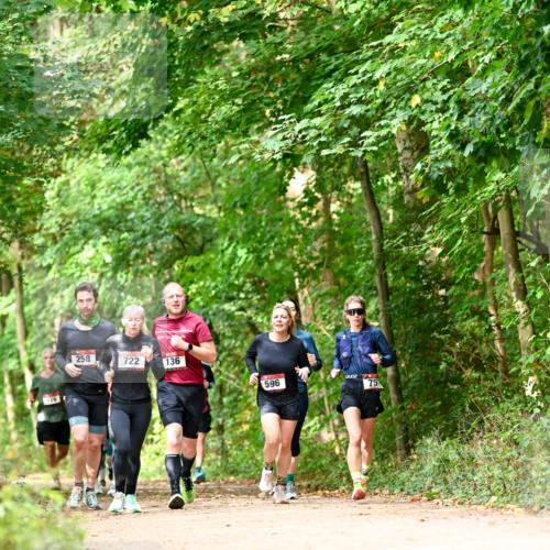 11.10.2026 - Bramfelder Halbmarathon 2026 Dr. Thomas Lammeyer http://msf.ph/oto/10831787 11.10.2026 11:17:17 Laufen 776, 258, 722, 136, 596, 75 meine-sportfotos.de