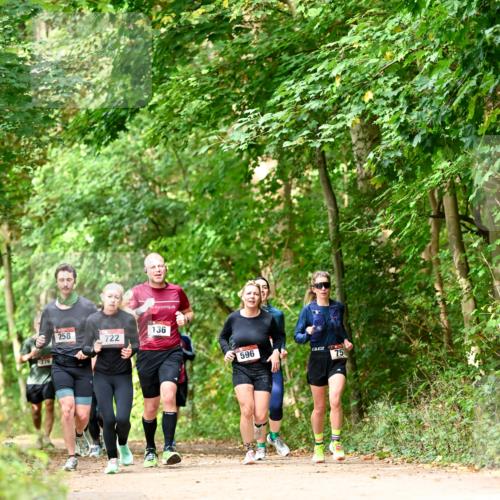 11.10.2026 - Bramfelder Halbmarathon 2026 Dr. Thomas Lammeyer http://msf.ph/oto/10831791 11.10.2026 11:17:17 Laufen 776, 258, 722, 136, 596, 75 meine-sportfotos.de