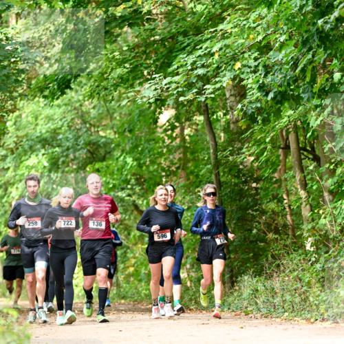 11.10.2026 - Bramfelder Halbmarathon 2026 Dr. Thomas Lammeyer http://msf.ph/oto/10831793 11.10.2026 11:17:17 Laufen 776, 258, 722, 136, 596 meine-sportfotos.de