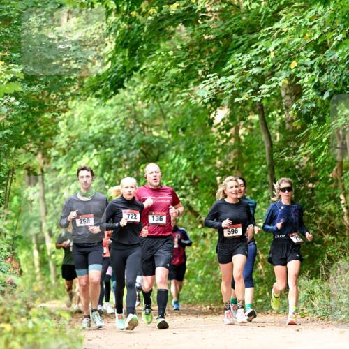 11.10.2026 - Bramfelder Halbmarathon 2026 Dr. Thomas Lammeyer http://msf.ph/oto/10831800 11.10.2026 11:17:18 Laufen 722, 258, 136, 596 meine-sportfotos.de