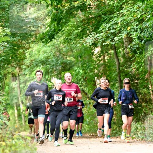 11.10.2026 - Bramfelder Halbmarathon 2026 Dr. Thomas Lammeyer http://msf.ph/oto/10831801 11.10.2026 11:17:18 Laufen 258, 722, 136, 96, 75 meine-sportfotos.de
