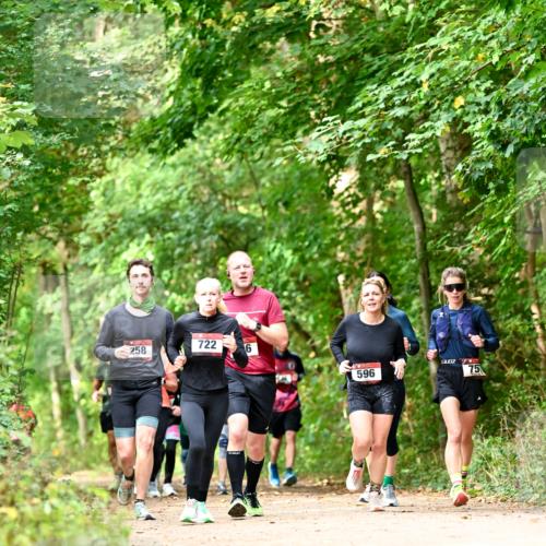11.10.2026 - Bramfelder Halbmarathon 2026 Dr. Thomas Lammeyer http://msf.ph/oto/10831803 11.10.2026 11:17:18 Laufen 722, 258, 6, 596, 15 meine-sportfotos.de