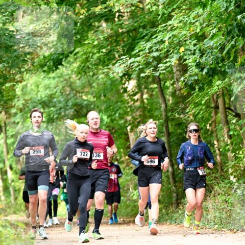 11.10.2026 - Bramfelder Halbmarathon 2026 Dr. Thomas Lammeyer http://msf.ph/oto/10831811 11.10.2026 11:17:19 Laufen 258, 722, 136, 596, 75 meine-sportfotos.de